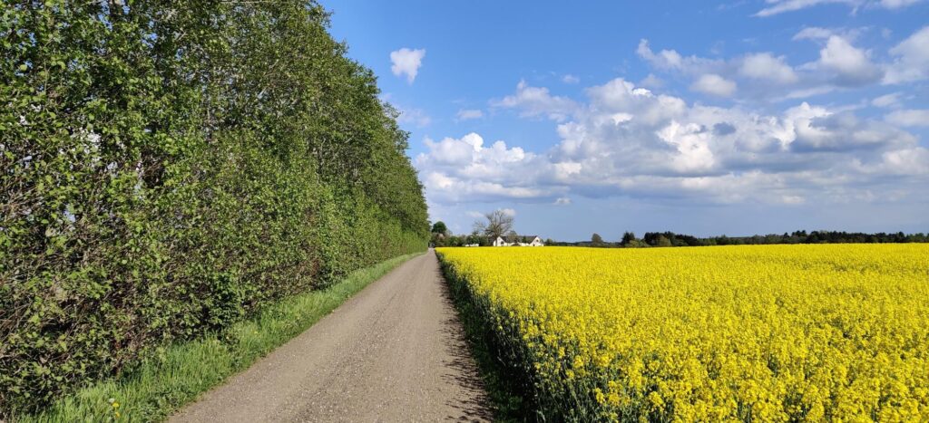 Route planning is essential to create epic rides. 