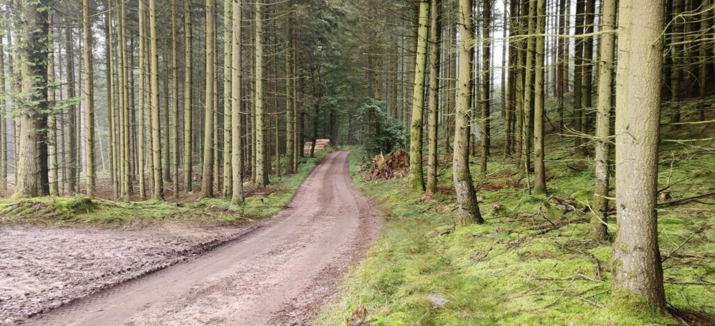 Gravel cycling